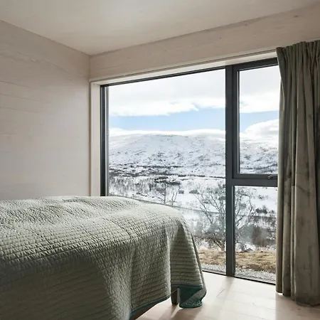 度假居 New With Panoramic Views At Hardangervidda 艾菲约德