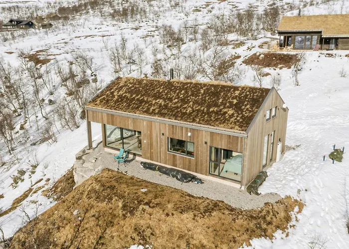 度假居 New With Panoramic Views At Hardangervidda 艾菲约德