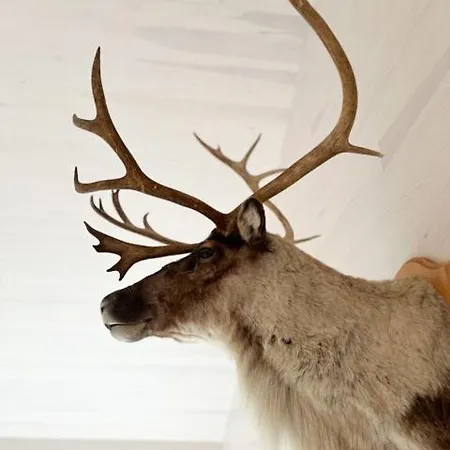 بيت للعطل New With Panoramic Views At Hardangervidda Maurset